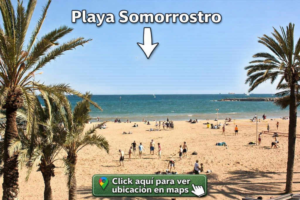 beach volley fun playa somorrostro barcelona